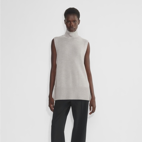 ARITZIA BABATON Merino Wool Turtleneck - Picture 1 of 6